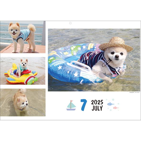 2025年 カレンダー 俊介 壁掛け 1000132341 犬 アートプリントジャパン AP | ブランド登録なし | 02