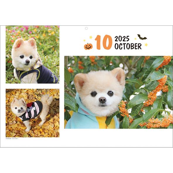 2025年 カレンダー 俊介 壁掛け 1000132341 犬 アートプリントジャパン AP | ブランド登録なし | 03