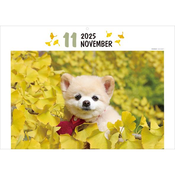 2025年 カレンダー 俊介 壁掛け 1000132341 犬 アートプリントジャパン AP | ブランド登録なし | 04
