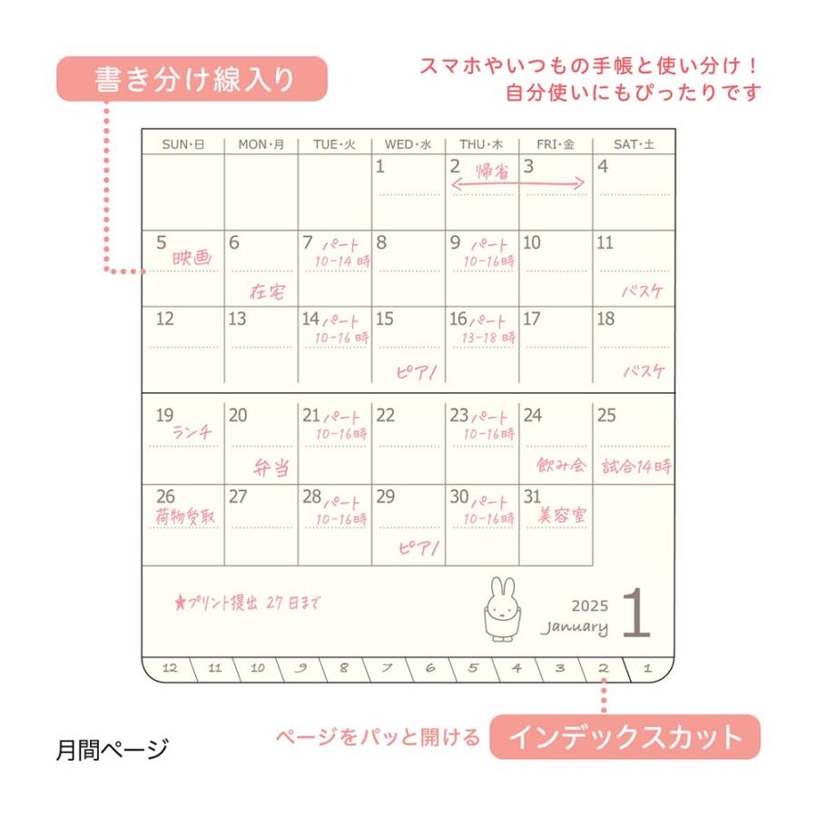 クツワ KUTSUWA 家族手帳 プチ ミッフィ ミッフィーとボリス MF869A 2025年 ダイアリー | クツワ | 02