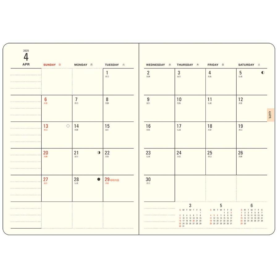 ダイゴー DAIGO 2025年 1月始まり ミル MILL マンスリー SPARKLE A6 ホワイト E7706 Appoint ダイアリー | Appoint DIARY | 01
