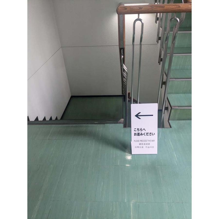 光 HIKARI LSサイン ホワイト こちらへお進みください LS2245W-8 | ブランド登録なし | 01