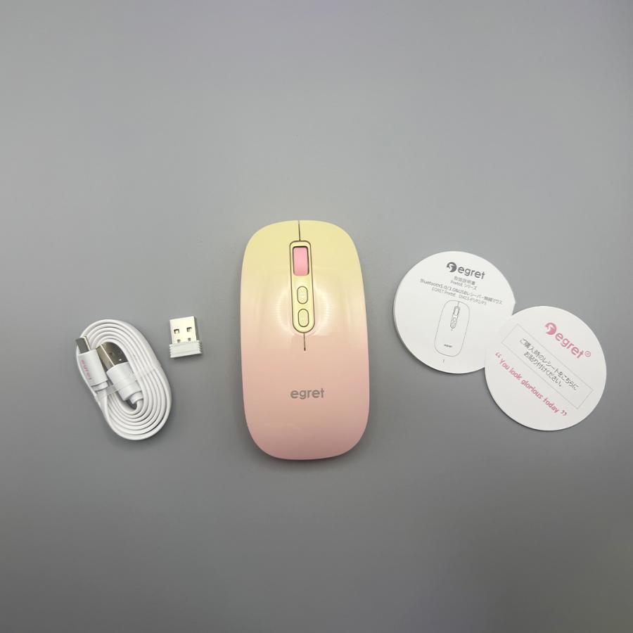 電響社 denkyosha EGRET Bluetooth&2.4G 静音充電式ワイヤレスマウス PrettiE EM23-P2 | ブランド登録なし | 11