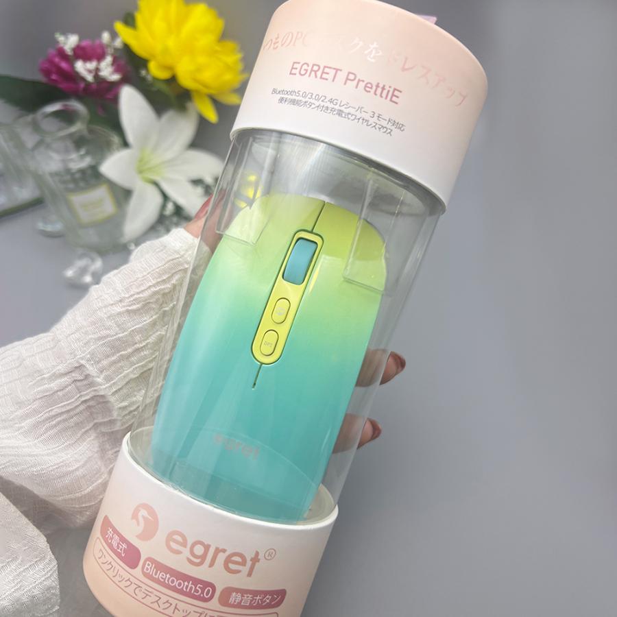 電響社 denkyosha EGRET Bluetooth&2.4G 静音充電式ワイヤレスマウス PrettiE EM23-P3 | ブランド登録なし | 06