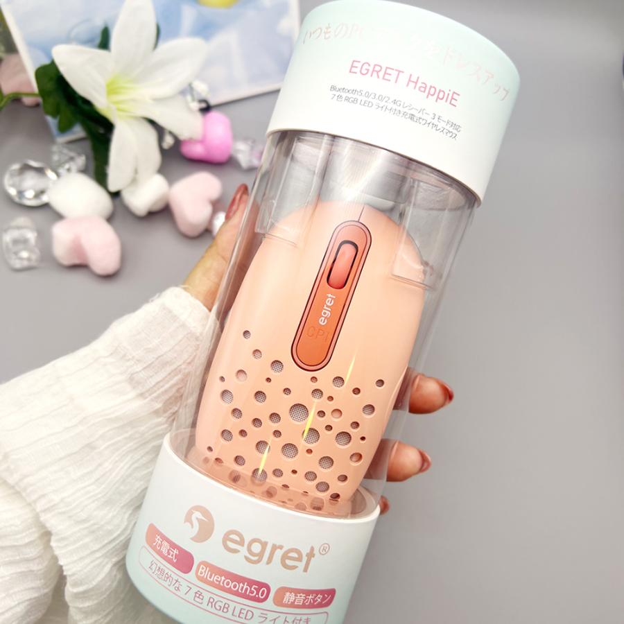 電響社 denkyosha EGRET Bluetooth&2.4G 静音充電式ワイヤレスマウス HappiE EM23-H1 | ブランド登録なし | 06