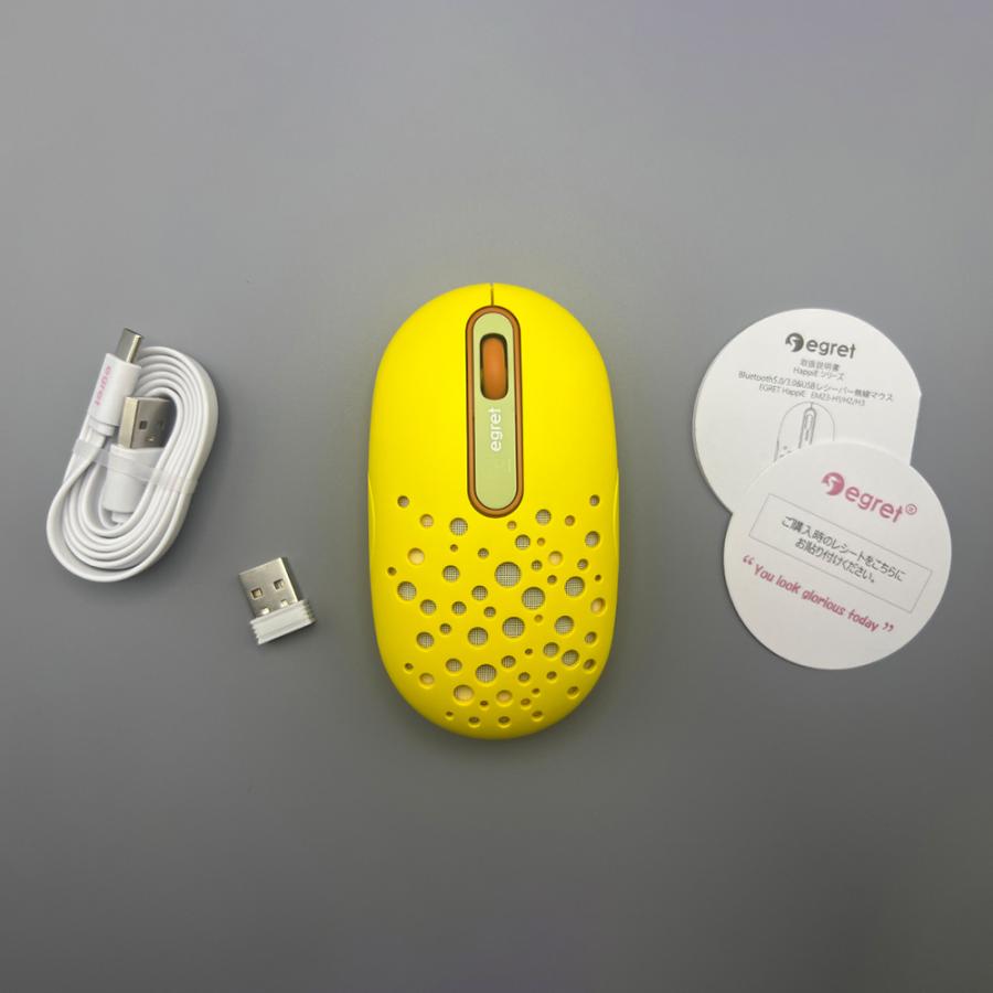 電響社 denkyosha EGRET Bluetooth&2.4G 静音充電式ワイヤレスマウス HappiE EM23-H1 | ブランド登録なし | 12