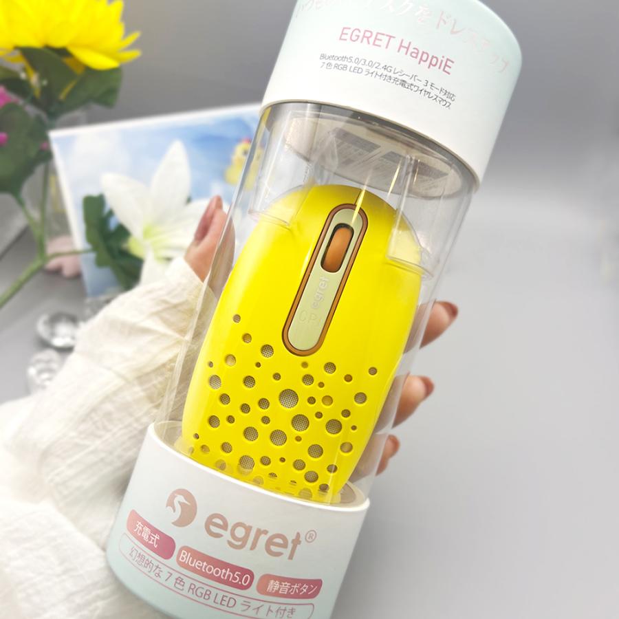 電響社 denkyosha EGRET Bluetooth&2.4G 静音充電式ワイヤレスマウス HappiE EM23-H1 | ブランド登録なし | 06