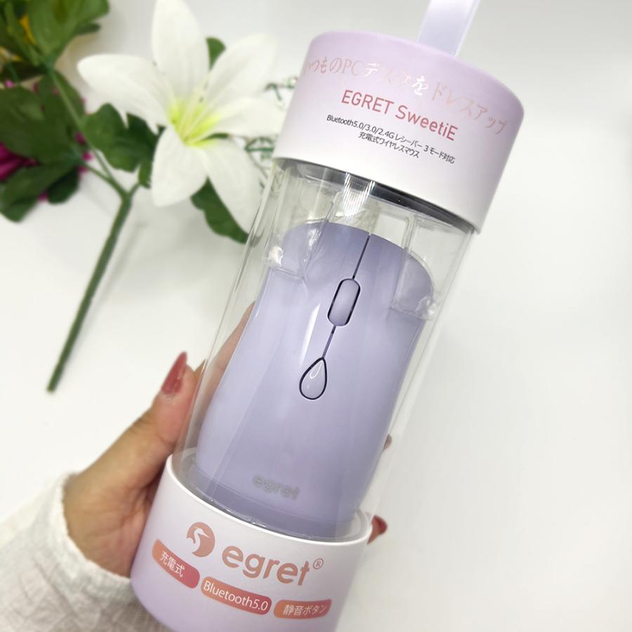 電響社 denkyosha EGRET Bluetooth&2.4G 静音充電式ワイヤレスマウス SweetiE EM23-S1 | ブランド登録なし | 06