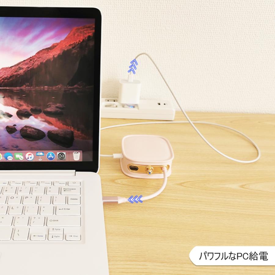電響社 denkyosha EGRET 1to10 ハンドバッグ型USB-C EH23-XC-G ドッキングステーション | ブランド登録なし | 05