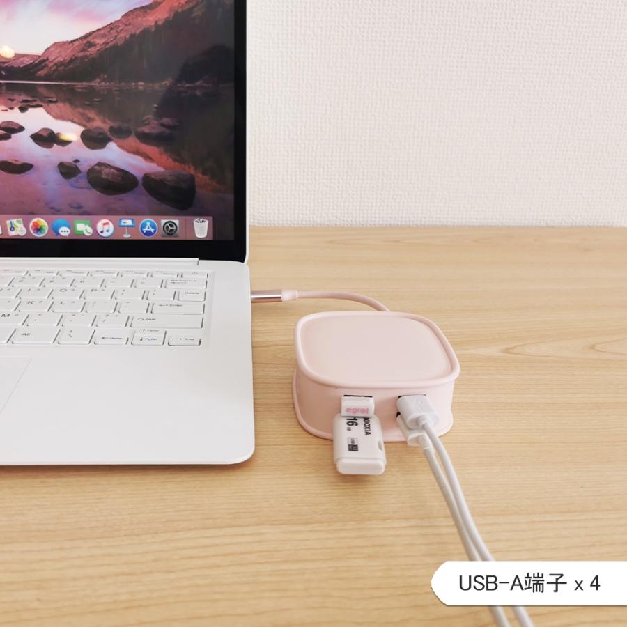 電響社 denkyosha EGRET 1to10 ハンドバッグ型USB-C EH23-XC-G ドッキングステーション | ブランド登録なし | 08