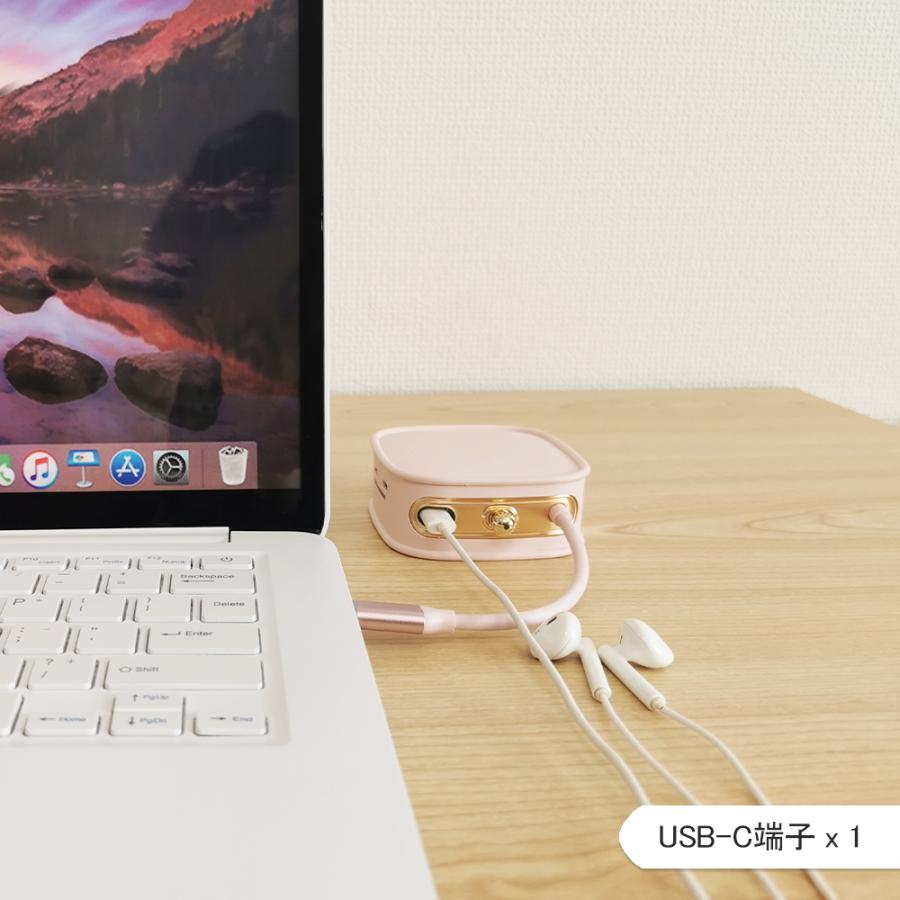電響社 denkyosha EGRET 1to10 ハンドバッグ型USB-C EH23-XC-B ドッキングステーション | ブランド登録なし | 09