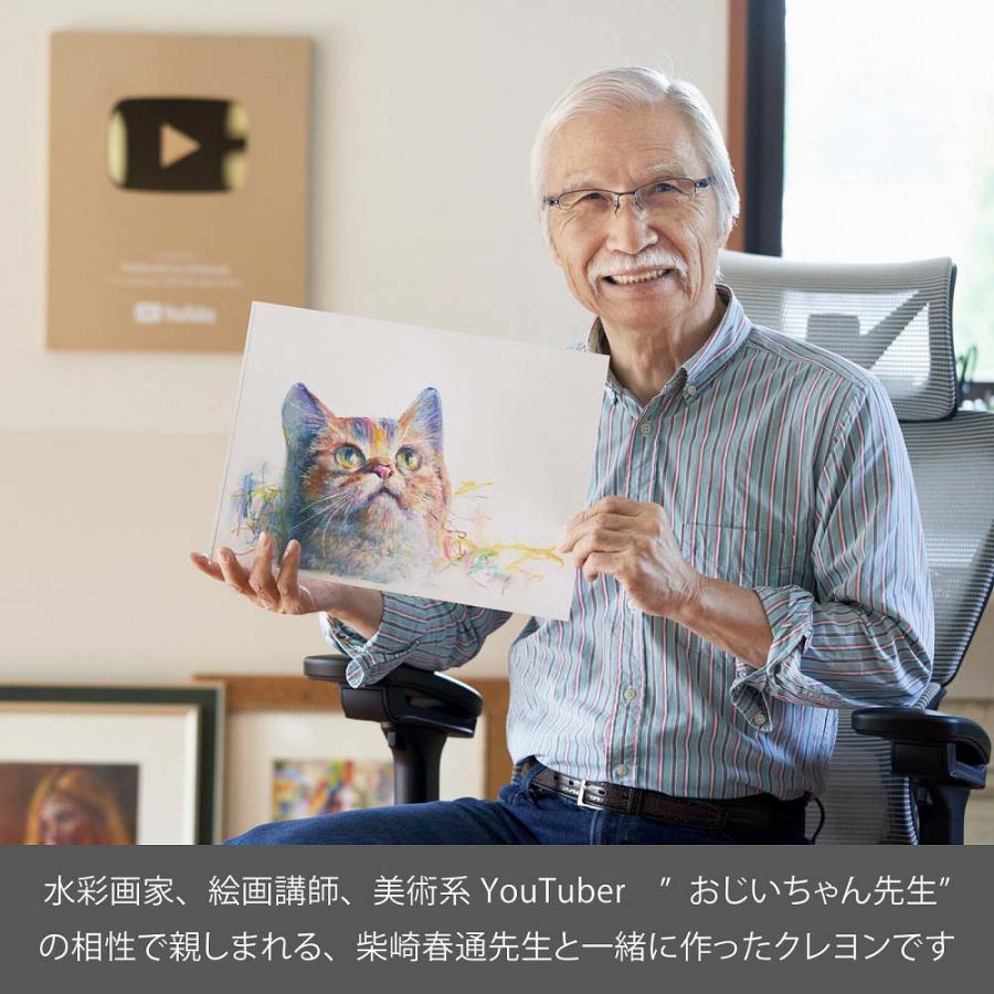 ぺんてる Pentel アートクレヨン 単色 ローズピンク 10本セット PTACT115 | ぺんてる | 07