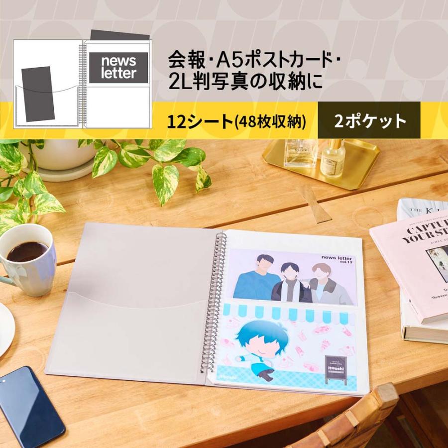 WANDS 会報 2〜5 クリアファイル ポスト カード ポスカ フライヤー