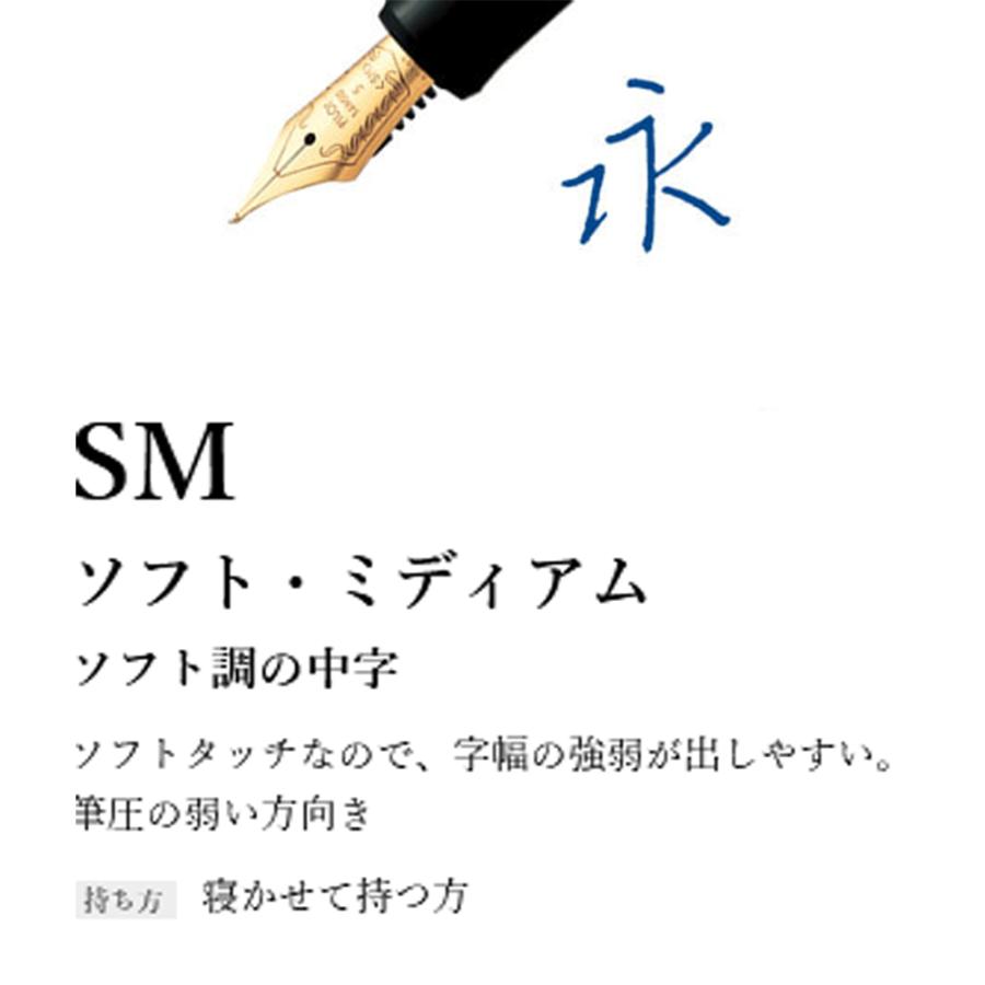 PILOT（パイロット） 万年筆 カスタム 743 ブラック 中字・軟 ギフト