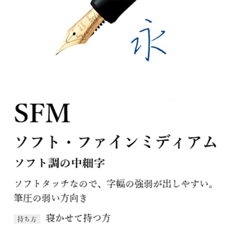 PILOT（パイロット） 万年筆 カスタム 74 ブラック 中細字・軟 ギフト