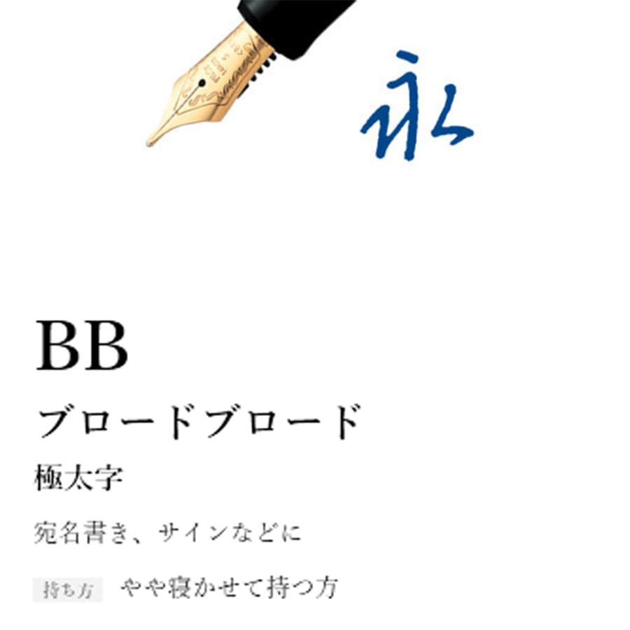パイロット PILOT 万年筆 カスタム 74 ブラック 極太字 ギフトケース付き FKKN-12SR-B-BB | PILOT（文具） | 02