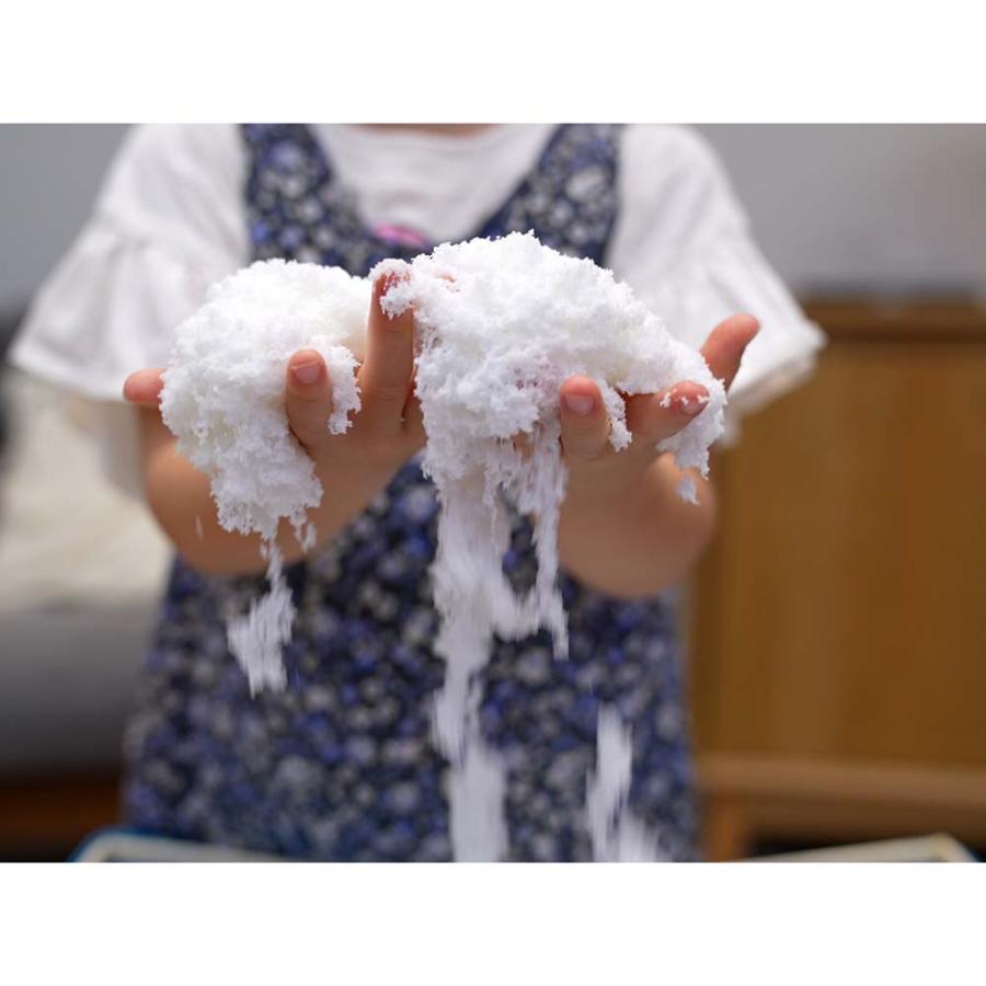 スノー＠ホーム アニマル 雪 室内 | ブランド登録なし | 09