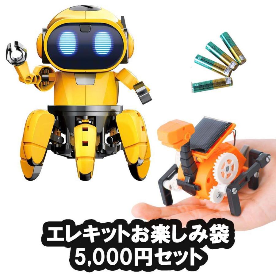 EKジャパン イーケイジャパン ELEKIT エレキット お楽しみ袋 5,000円セット SET-24050 | ブランド登録なし