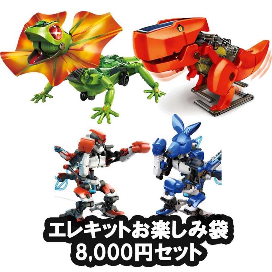 EKジャパン イーケイジャパン ELEKIT エレキット お楽しみ袋 8,000円セット SET-24080 | ブランド登録なし