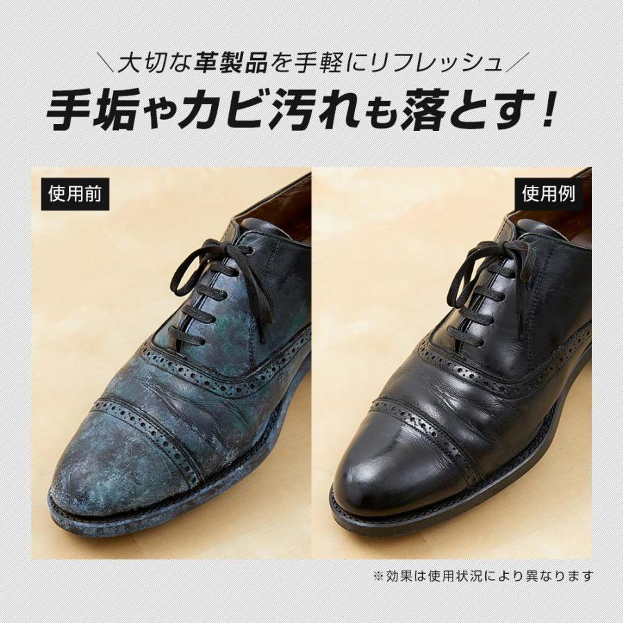 アイメディア AIMEDIA 革を防カビして柔らかく保つ 1009923 | アイメディア | 03