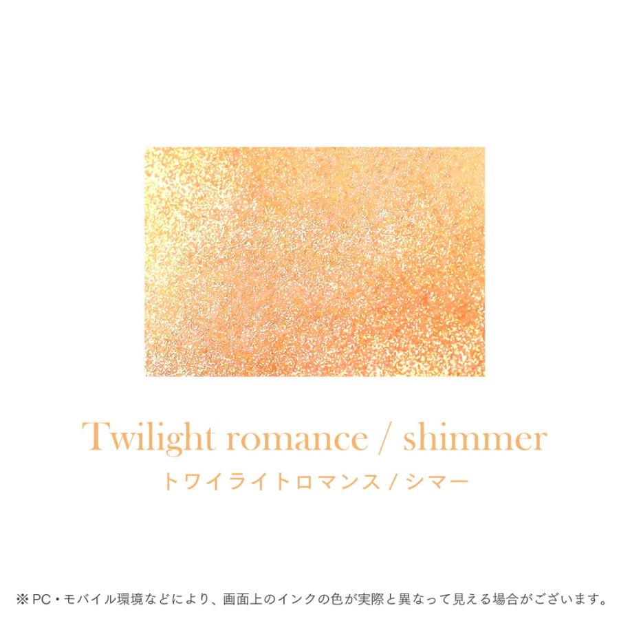 セーラー万年筆 つけペン用ボトルインク Dipton（ディプトン） トワイライトロマンス／シマー 13-1700-206 | セーラー万年筆 | 03