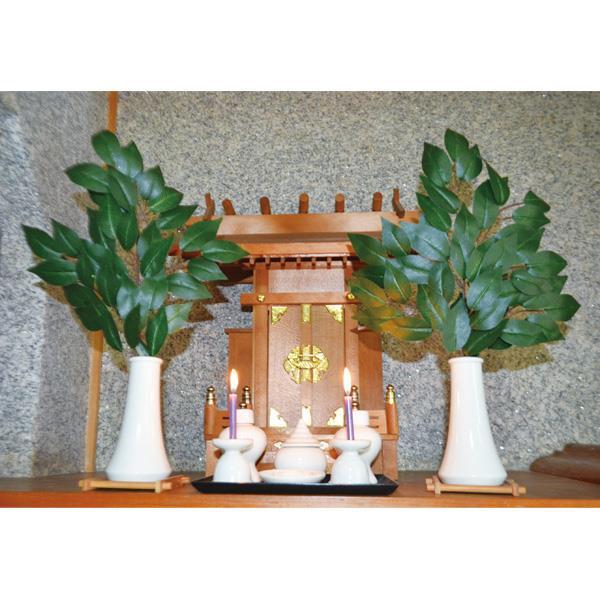 アイメディア AIMEDIA 神棚用 榊 さかき 1007894 | ブランド登録なし | 03