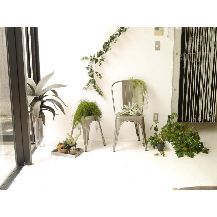 GART ガルト 1234 チェア クリア 9060855 | ブランド登録なし | 02