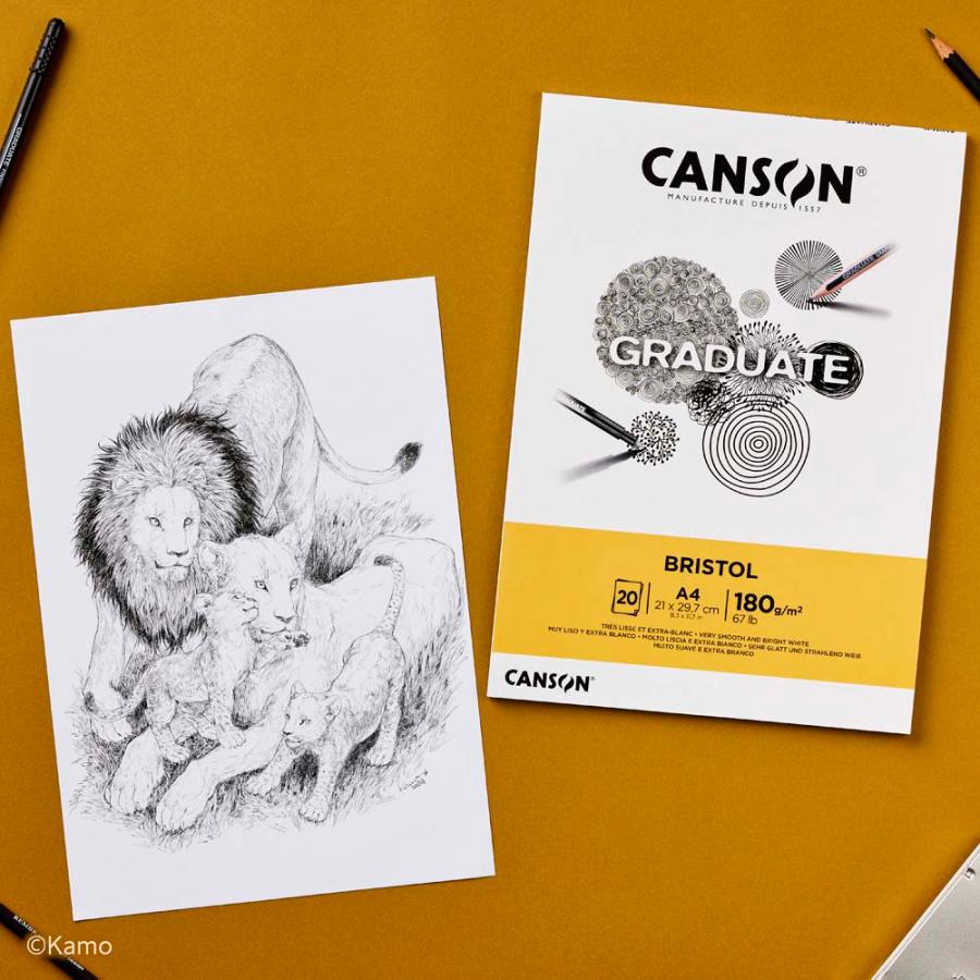 マルマン maruman グラジュエイト パッド ブリストル A4 | maruman | 03