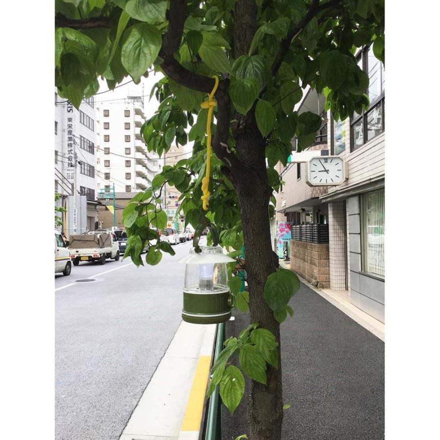 光 HIKARI カラフルフリータイ 300×6mm オレンジ 5個セット KFRT306-3 | ブランド登録なし | 04