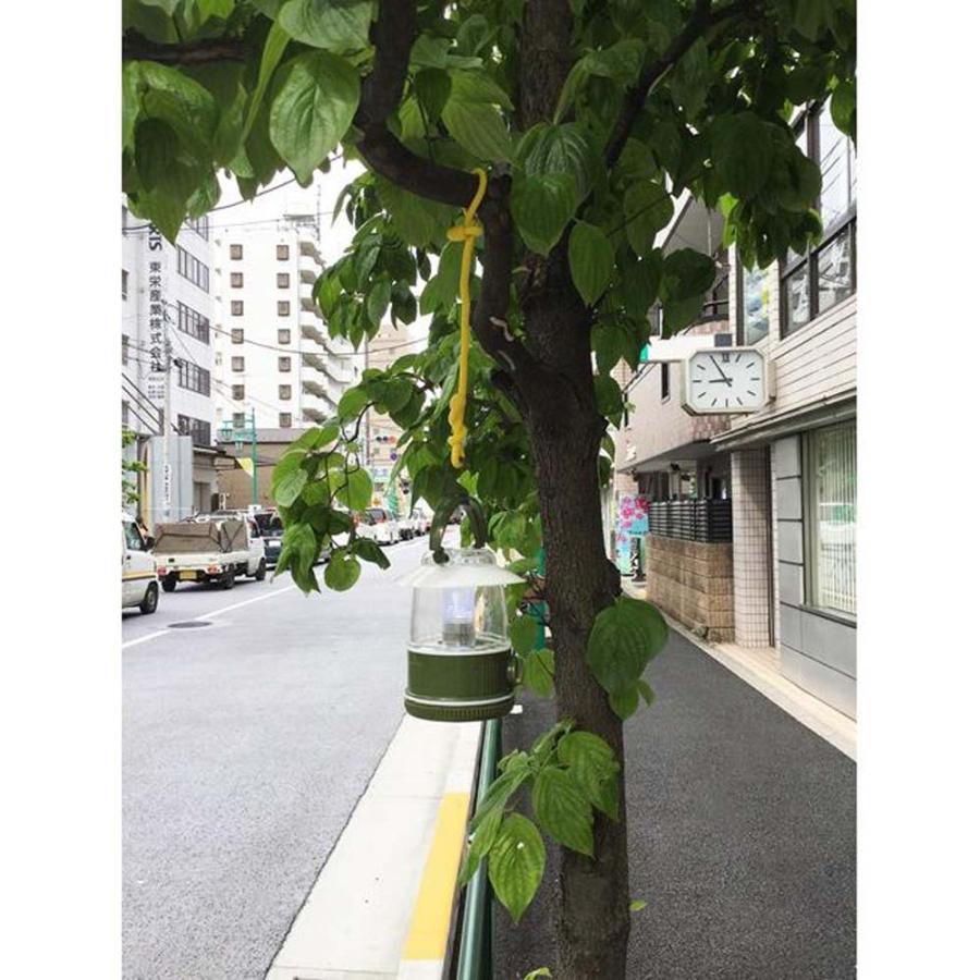 光 HIKARI カラフルフリータイ 300×6mm 青 5個セット KFRT306-5 | ブランド登録なし | 04