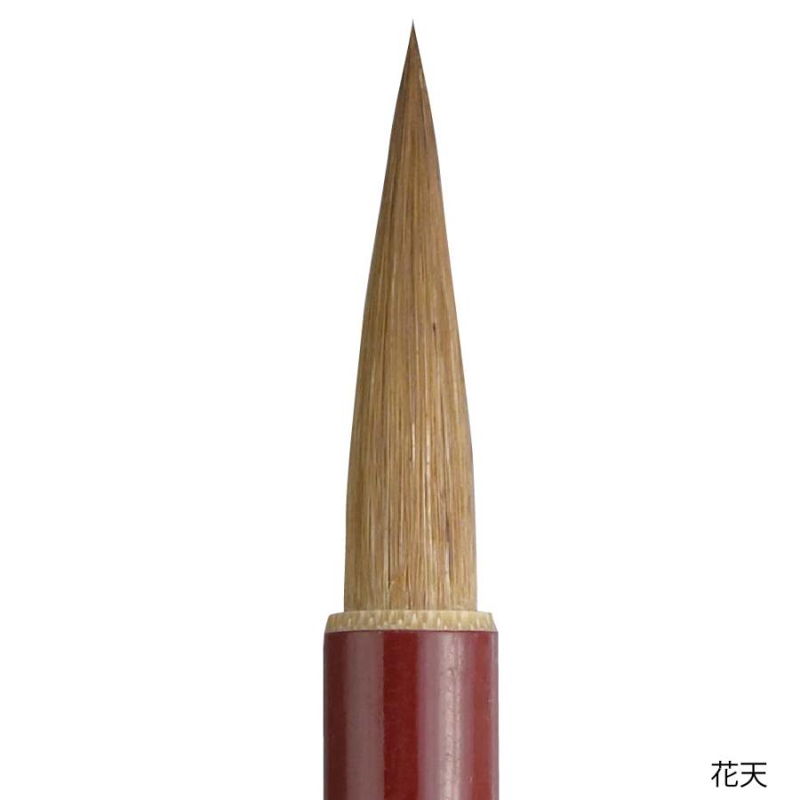 呉竹 細筆 花天7号 茶毛 JA344-7 | 呉竹 | 01