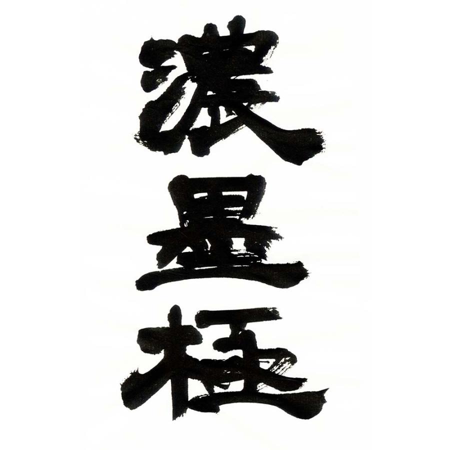 呉竹 濃墨 書芸呉竹 紫紺 極500ml BB7-50 | 呉竹 | 01