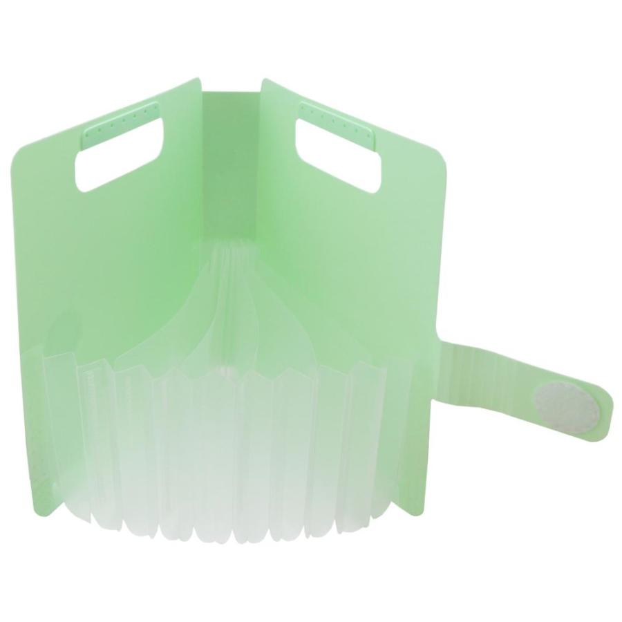 サクラクレパス SAKURA こまごまファイル パステルグリーン TF-O#127 | サクラクレパス | 01