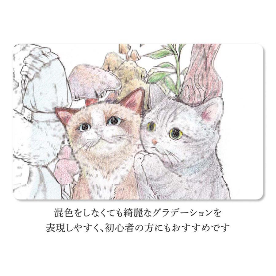 ファーバーカステル  色鉛筆 100色セット TFCC-CP/100C | ファーバーカステル | 05