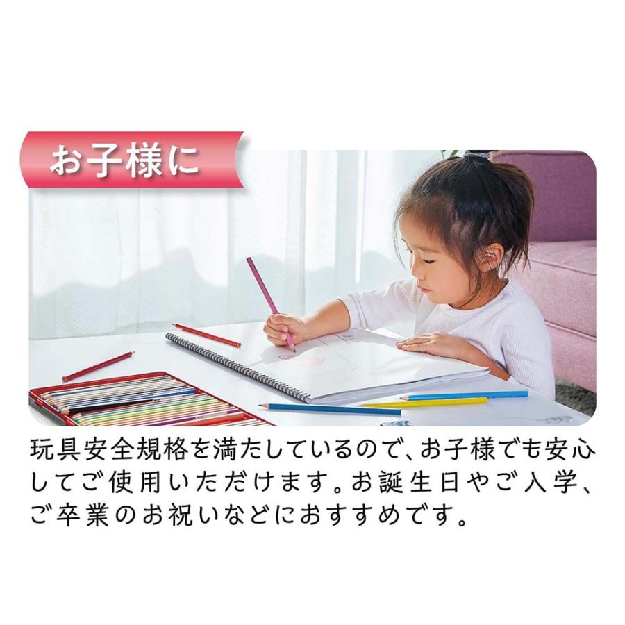 ファーバーカステル  色鉛筆 100色セット TFCC-CP/100C | ファーバーカステル | 07