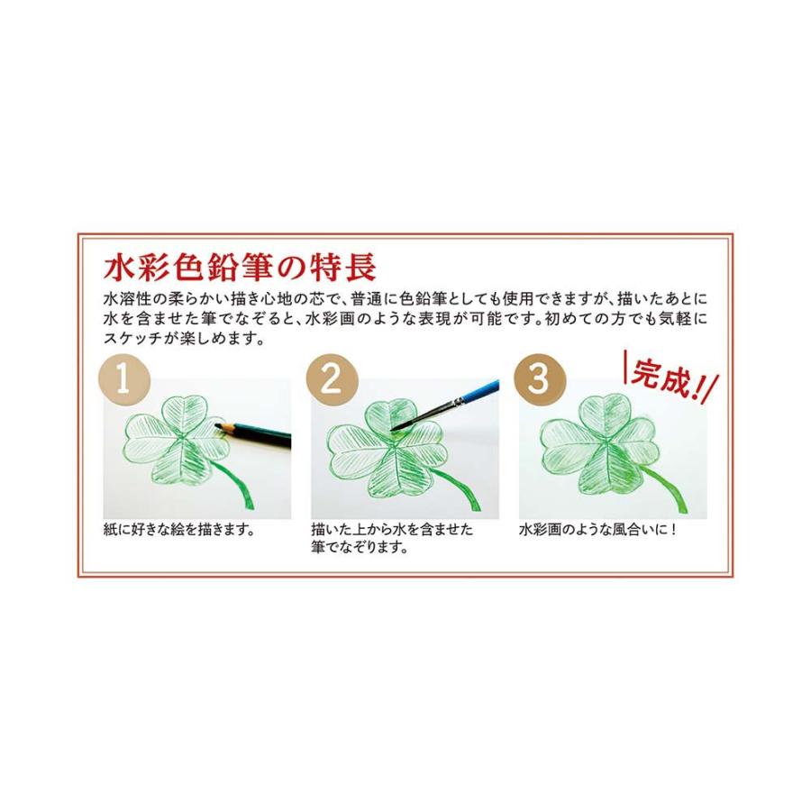 ファーバーカステル 水彩色鉛筆 100色セット TFCC-WCP/100C | ファーバーカステル | 03