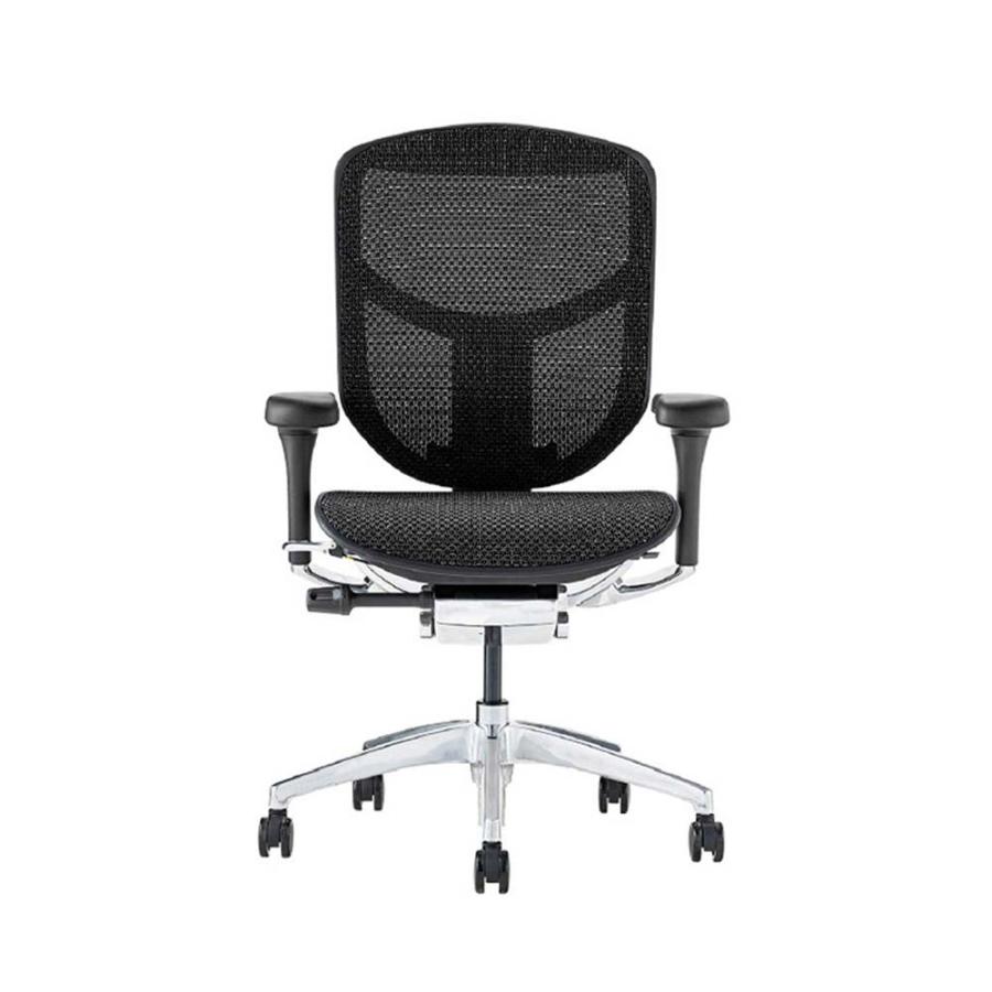 関家具 エルゴヒューマン エンジョイ2 ロータイプ ブラックフレーム EJ2-LAM-BF-BK ブラック 389602 | 関家具