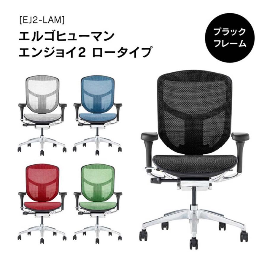 関家具 エルゴヒューマン エンジョイ2 ロータイプ ブラックフレーム EJ2-LAM-BF-BK ブラック 389602 | 関家具 | 01