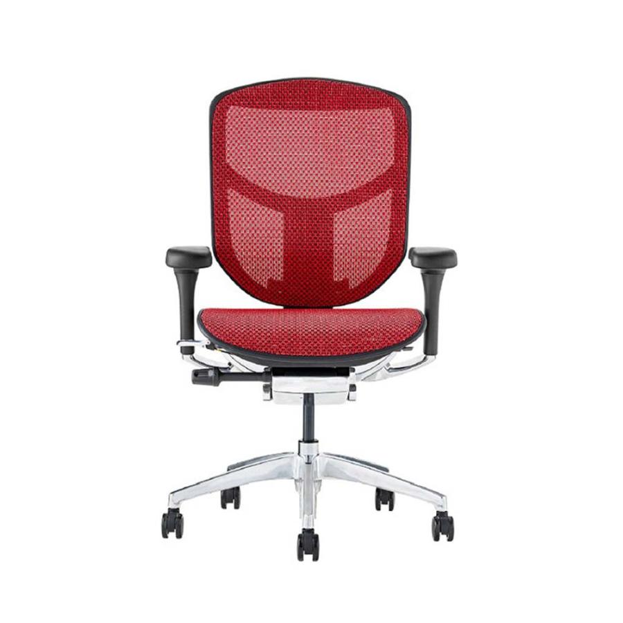 関家具 エルゴヒューマン エンジョイ2 ロータイプ ブラックフレーム EJ2-LAM-BF-RD レッド 389604 | 関家具