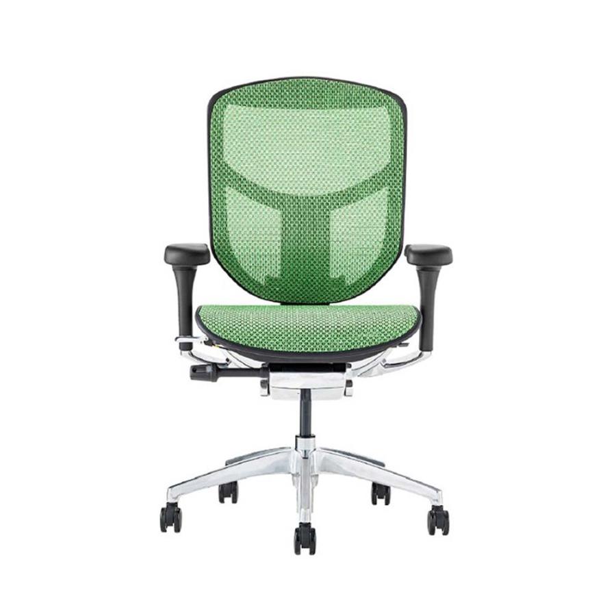 関家具 エルゴヒューマン エンジョイ2 ロータイプ ブラックフレーム EJ2-LAM-BF-GN グリーン 389606 | 関家具