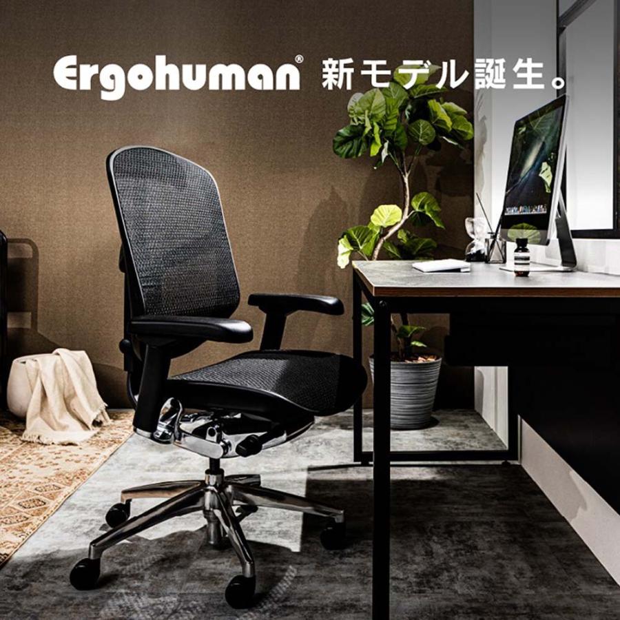 関家具 エルゴヒューマン エンジョイ2 ロータイプ ブラックフレーム EJ2-LAM-BF-GN グリーン 389606 | 関家具 | 02