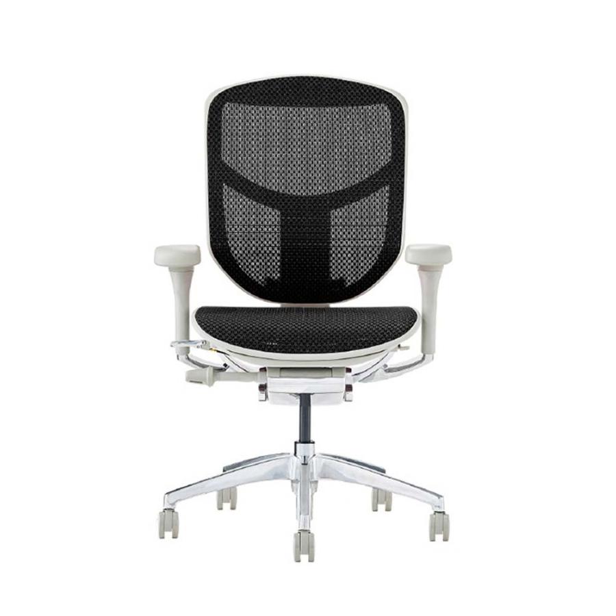 関家具 エルゴヒューマン エンジョイ2 ロータイプ グレーフレーム EJ2-LAM-GF-BK ブラック 389607 | 関家具