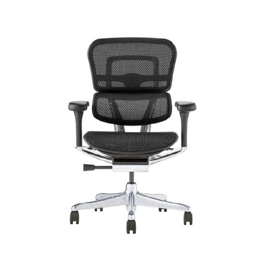 関家具 エルゴヒューマン プロ2 ロータイプ ブラックフレーム EHP2-LAM-DR-BF-BK ブラック 445416 | 関家具