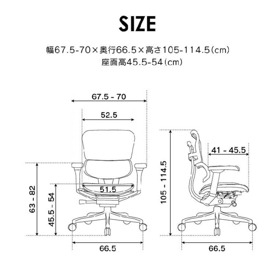 関家具 エルゴヒューマン プロ2 ロータイプ ブラックフレーム EHP2-LAM-DR-BF-RD レッド 445418 | 関家具 | 02