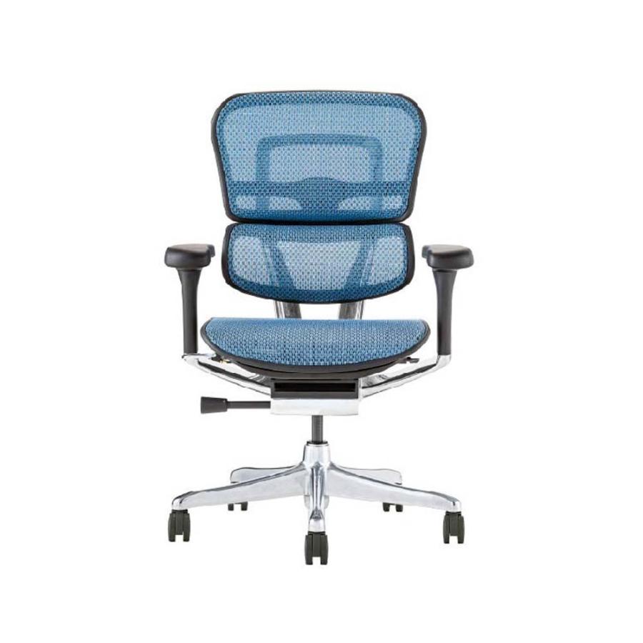 関家具 エルゴヒューマン プロ2 ロータイプ ブラックフレーム EHP2-LAM-DR-BF-BL ブルー 445419 | 関家具
