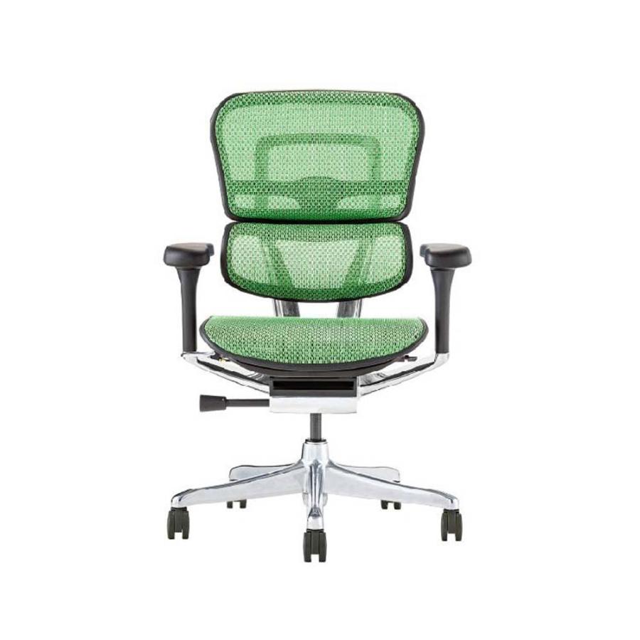 関家具 エルゴヒューマン プロ2 ロータイプ ブラックフレーム EHP2-LAM-DR-BF-GN グリーン 445420 | 関家具