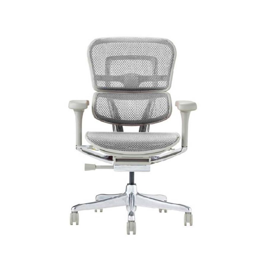 関家具 エルゴヒューマン プロ2 ロータイプ グレーフレーム EHP2-LAM-DR-GF-WH ホワイト 445422 | 関家具