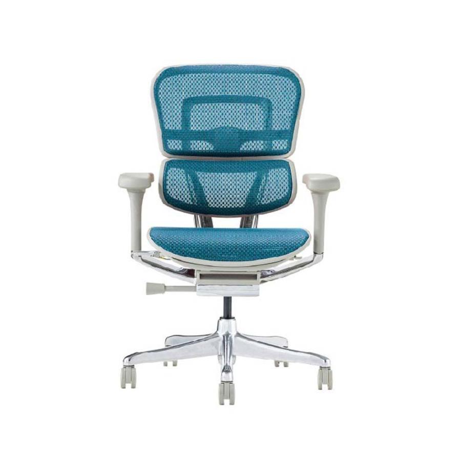 関家具 エルゴヒューマン プロ2 ロータイプ グレーフレーム EHP2-LAM-DR-GF-BL ブルー 445424 | 関家具