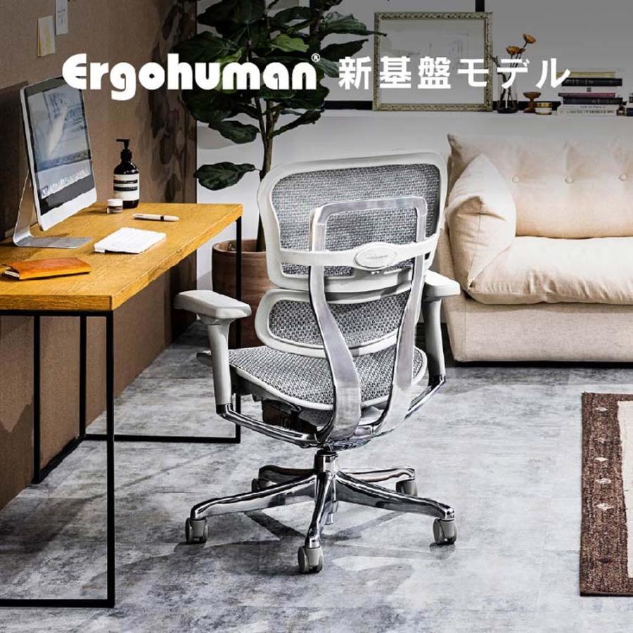 関家具 エルゴヒューマン プロ2 ロータイプ グレーフレーム EHP2-LAM-DR-GF-BL ブルー 445424 | 関家具 | 03