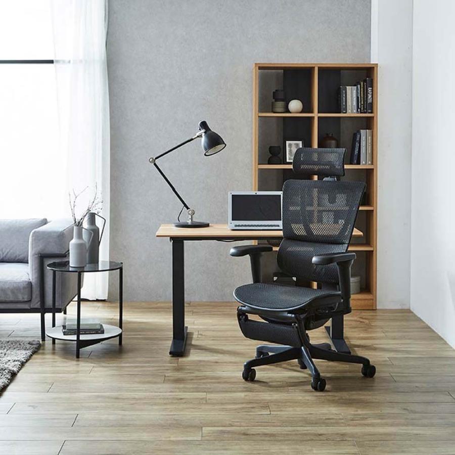 関家具 エルゴヒューマン FIT2 Lite オフィスチェア オットマン付 ブラックフレーム FIT2Lite-BF-BK ブラック 443306 | 関家具 | 11